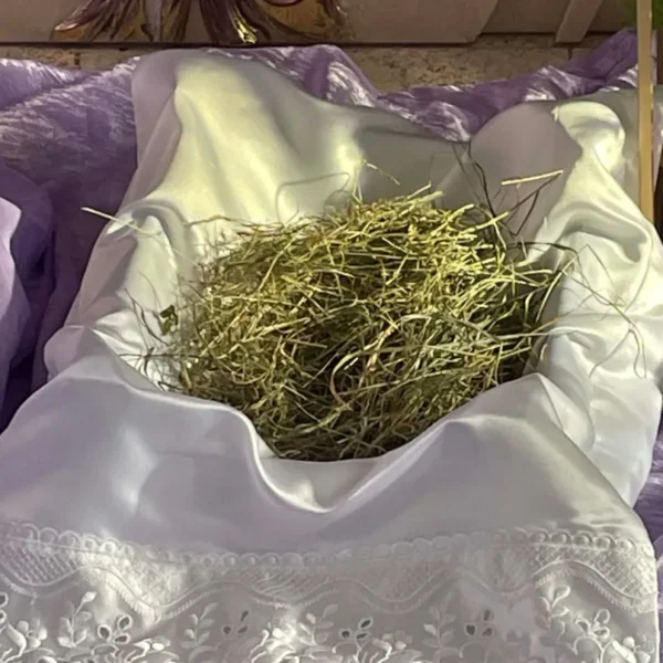 Adwent 2025 - Zdjęcie 2