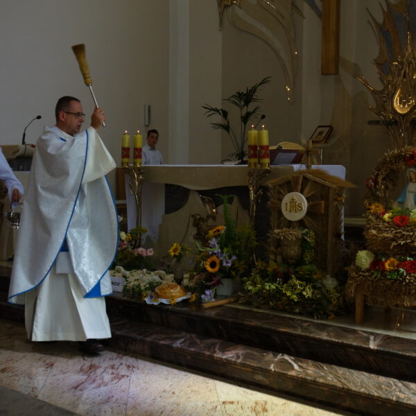 Dożynki 2025 - Zdjęcie 9