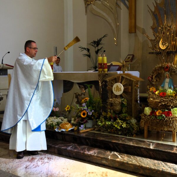 Dożynki 2025 - Zdjęcie 10