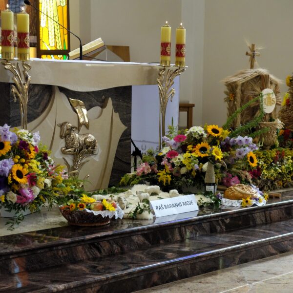 Dożynki 2025 - Zdjęcie 12