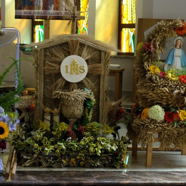 Dożynki 2025 - Zdjęcie 13