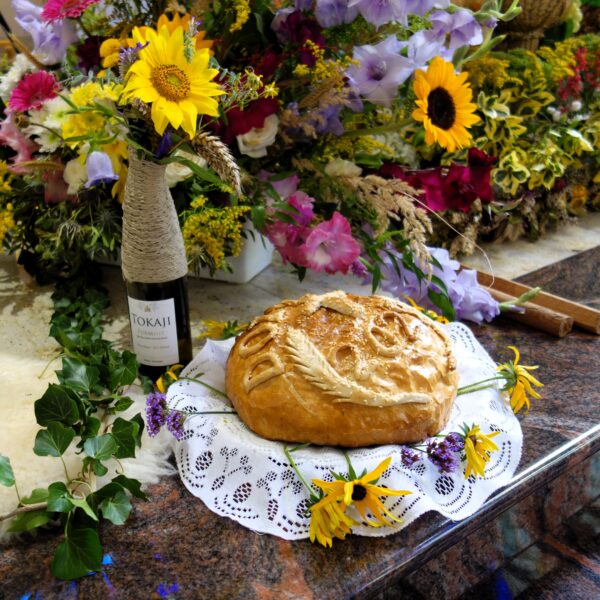 Dożynki 2025 - Zdjęcie 20